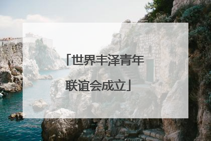 世界丰泽青年联谊会成立