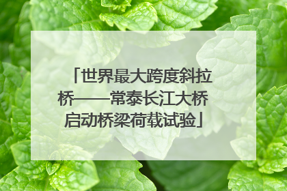 世界最大跨度斜拉桥——常泰长江大桥启动桥梁荷载试验