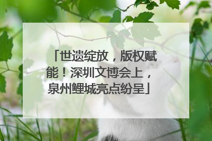 世遗绽放，版权赋能！深圳文博会上，泉州鲤城亮点纷呈