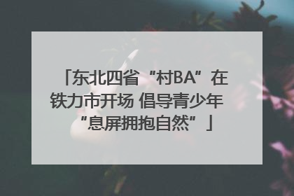 东北四省“村BA”在铁力市开场 倡导青少年“息屏拥抱自然”
