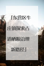 东营区牛庄镇探索占道晒粮治理新路径