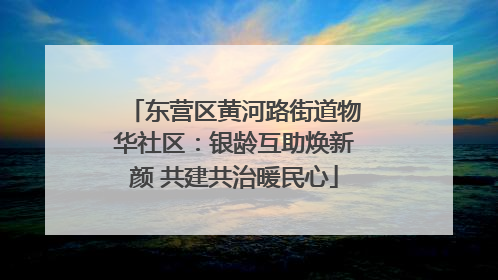 东营区黄河路街道物华社区：银龄互助焕新颜 共建共治暖民心