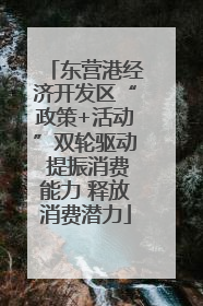 东营港经济开发区“政策+活动”双轮驱动 提振消费能力 释放消费潜力