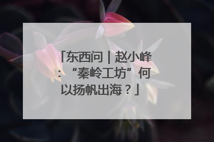 东西问｜赵小峰：“秦岭工坊”何以扬帆出海？