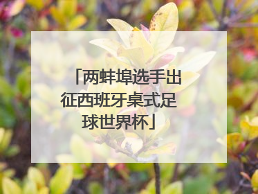 两蚌埠选手出征西班牙桌式足球世界杯