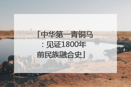 中华第一青铜马：见证1800年前民族融合史