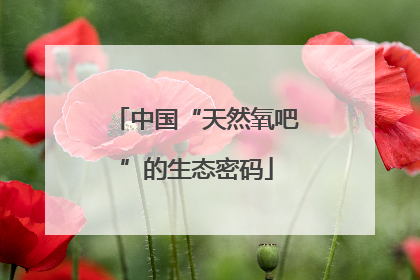 中国“天然氧吧”的生态密码