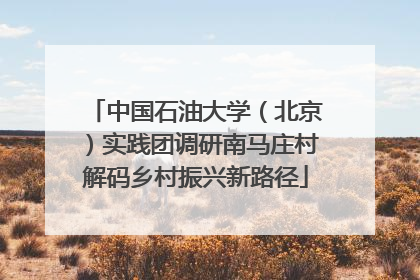 中国石油大学（北京）实践团调研南马庄村解码乡村振兴新路径