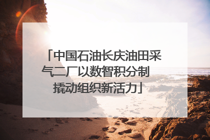 中国石油长庆油田采气二厂以数智积分制 撬动组织新活力
