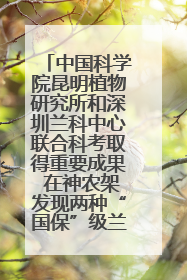 中国科学院昆明植物研究所和深圳兰科中心联合科考取得重要成果 在神农架发现两种“国保”级兰花