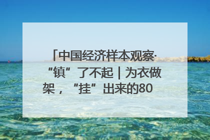 中国经济样本观察·“镇”了不起｜为衣做架，“挂”出来的80亿元“衣架产业”