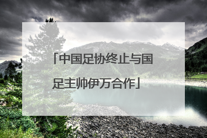 中国足协终止与国足主帅伊万合作