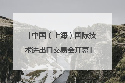 中国（上海）国际技术进出口交易会开幕