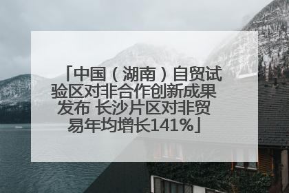 中国（湖南）自贸试验区对非合作创新成果发布 长沙片区对非贸易年均增长141%