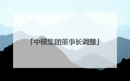 中核集团董事长调整