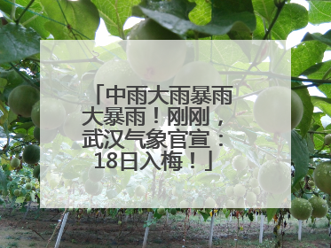 中雨大雨暴雨大暴雨！刚刚，武汉气象官宣：18日入梅！