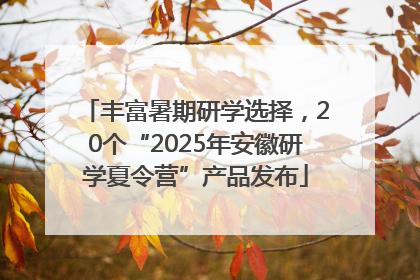 丰富暑期研学选择，20个“2025年安徽研学夏令营”产品发布