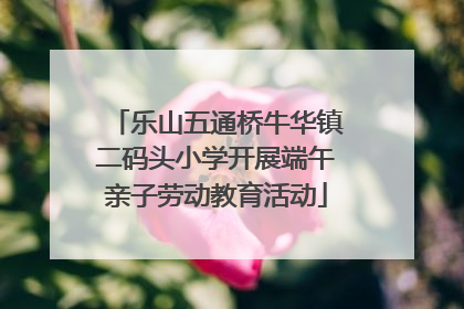 乐山五通桥牛华镇二码头小学开展端午亲子劳动教育活动