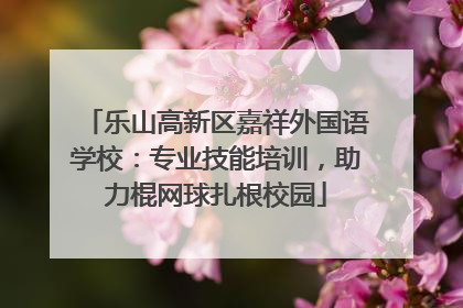 乐山高新区嘉祥外国语学校：专业技能培训，助力棍网球扎根校园