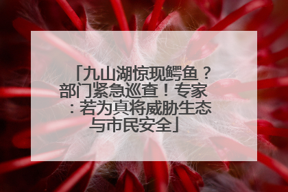 九山湖惊现鳄鱼？部门紧急巡查！专家：若为真将威胁生态与市民安全