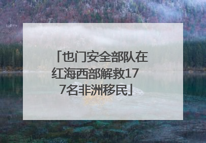 也门安全部队在红海西部解救177名非洲移民