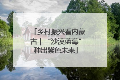 乡村振兴看内蒙古｜“沙漠蓝莓”种出紫色未来