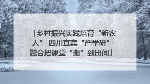 乡村振兴实践培育“新农人” 四川宜宾“产学研”融合把课堂“搬”到田间