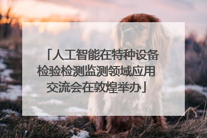 人工智能在特种设备检验检测监测领域应用交流会在敦煌举办