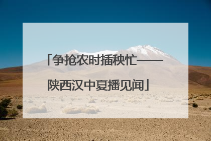 争抢农时插秧忙——陕西汉中夏播见闻