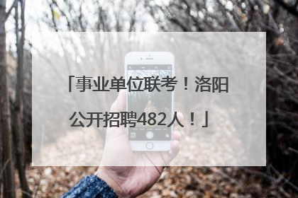 事业单位联考！洛阳公开招聘482人！