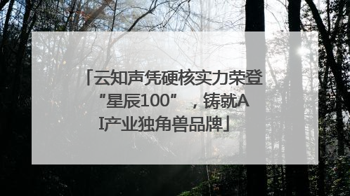 云知声凭硬核实力荣登“星辰100”，铸就AI产业独角兽品牌