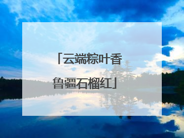 云端粽叶香 鲁疆石榴红