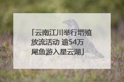 云南江川举行增殖放流活动 逾54万尾鱼游入星云湖