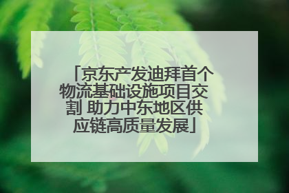京东产发迪拜首个物流基础设施项目交割 助力中东地区供应链高质量发展
