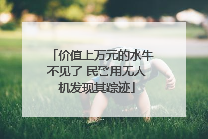 价值上万元的水牛不见了 民警用无人机发现其踪迹