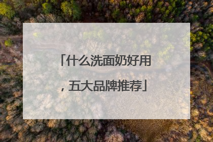 什么洗面奶好用，五大品牌推荐