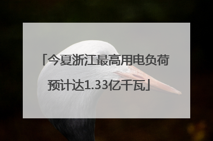 今夏浙江最高用电负荷预计达1.33亿千瓦