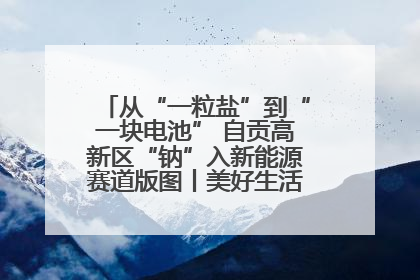 从“一粒盐”到“一块电池” 自贡高新区“钠”入新能源赛道版图丨美好生活有“盐”味