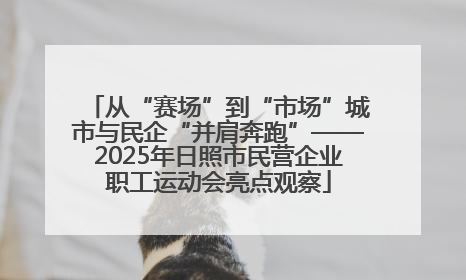从“赛场”到“市场”城市与民企“并肩奔跑”——2025年日照市民营企业职工运动会亮点观察