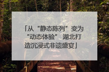从“静态陈列”变为“动态体验” 湖北打造沉浸式非遗盛宴