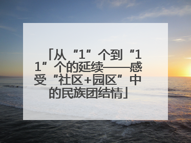 从“1”个到“11”个的延续——感受“社区+园区”中的民族团结情