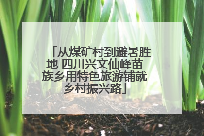 从煤矿村到避暑胜地 四川兴文仙峰苗族乡用特色旅游铺就乡村振兴路