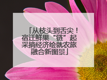 从枝头到舌尖！宿迁鲜果“链”起采摘经济绘就农旅融合新图景