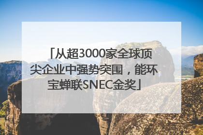 从超3000家全球顶尖企业中强势突围，能环宝蝉联SNEC金奖