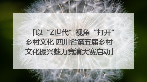 以“Z世代”视角“打开”乡村文化 四川省第五届乡村文化振兴魅力竞演大赛启动