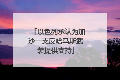 以色列承认为加沙一支反哈马斯武装提供支持
