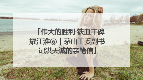 伟大的胜利·铁血丰碑耀江淮⑥｜茅山工委副书记洪天诚的亲笔信