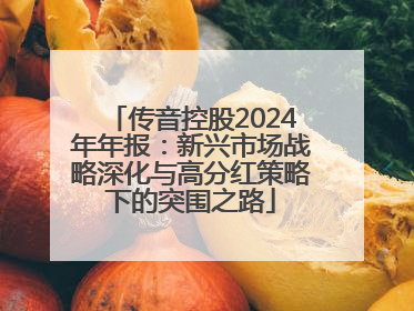 传音控股2024年年报：新兴市场战略深化与高分红策略下的突围之路
