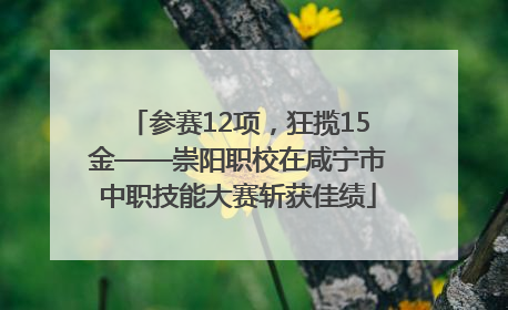 参赛12项，狂揽15金——崇阳职校在咸宁市中职技能大赛斩获佳绩