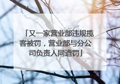 又一家营业部违规揽客被罚，营业部与分公司负责人同遭罚